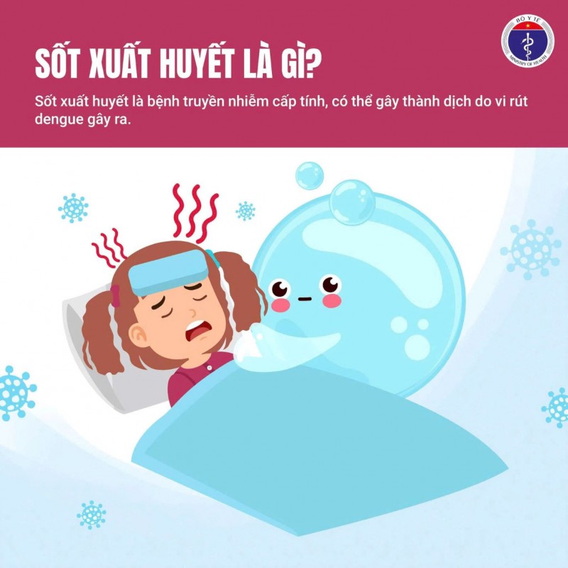 🛑 🛑 CHỦ ĐỘNG PHÒNG CHỐNG SỐT XUẤT HUYẾT – TRÁCH NHIỆM CỦA MỖI NGƯỜI, MỖI NHÀ