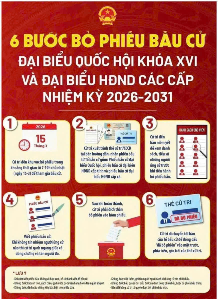 Bầu cử 2