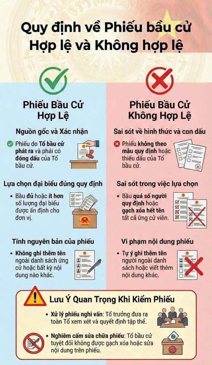 Bầu cử