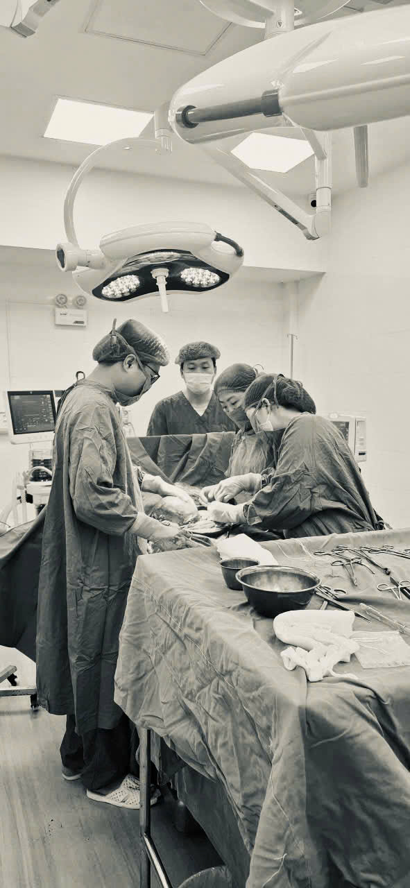 PT cắt TC bán phần 2